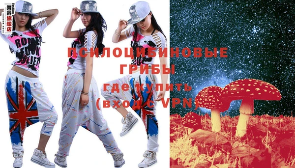 спиды Алексеевка