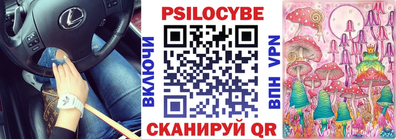 Купить закладки  Серафимович  Галлюциногенные грибы Psilocybe 